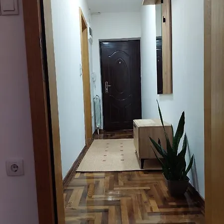 Dordevic Apartment *
